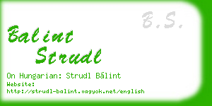 balint strudl business card
