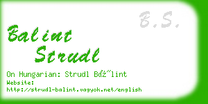 balint strudl business card